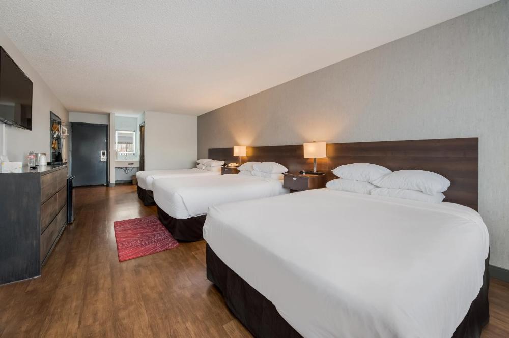 Standard Triple Room interior